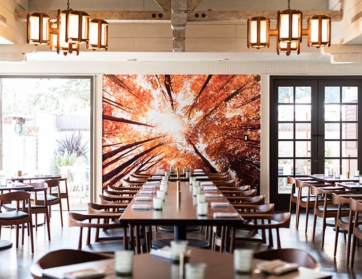 Maple Restaurant at Descanso Gardens Dining Area
